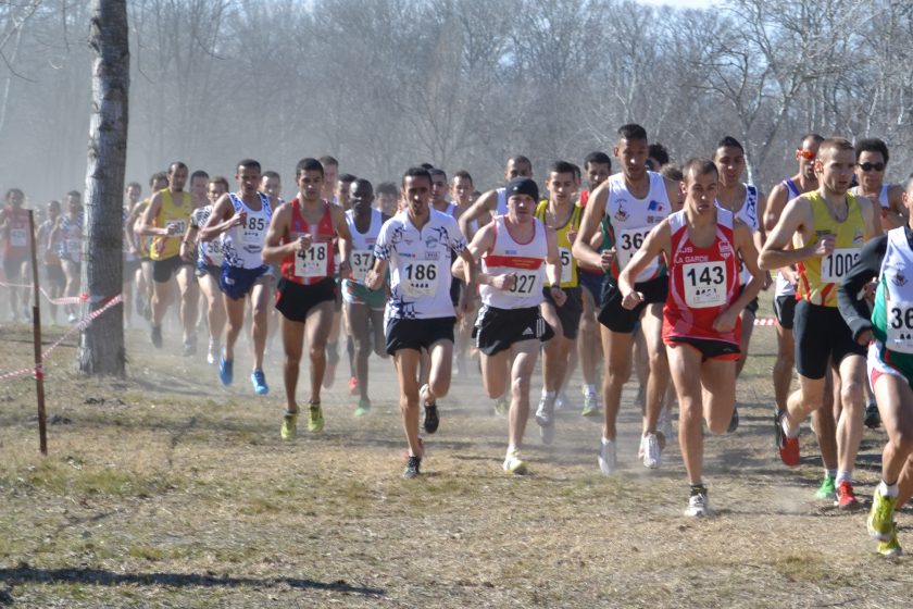 Cross-Country, cap au Sud-Est, Zoubaa et Bardelle victorieux !